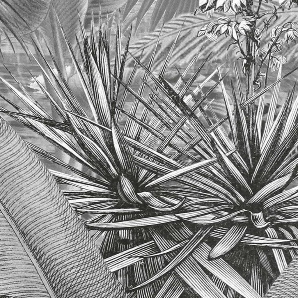 Komar photo wallpaper Amazonia black and white 400x250 cm