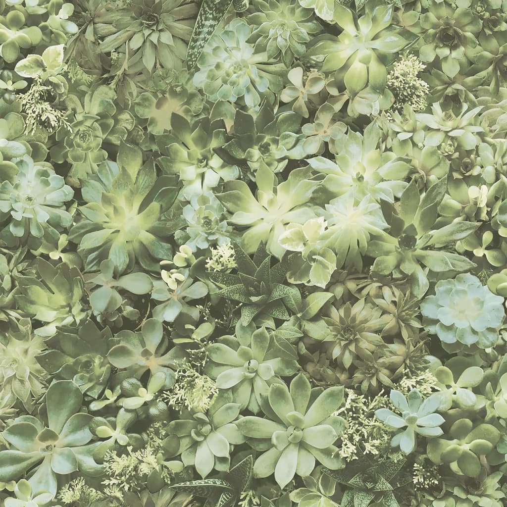 Evergreen wallpaper succulent green and beige