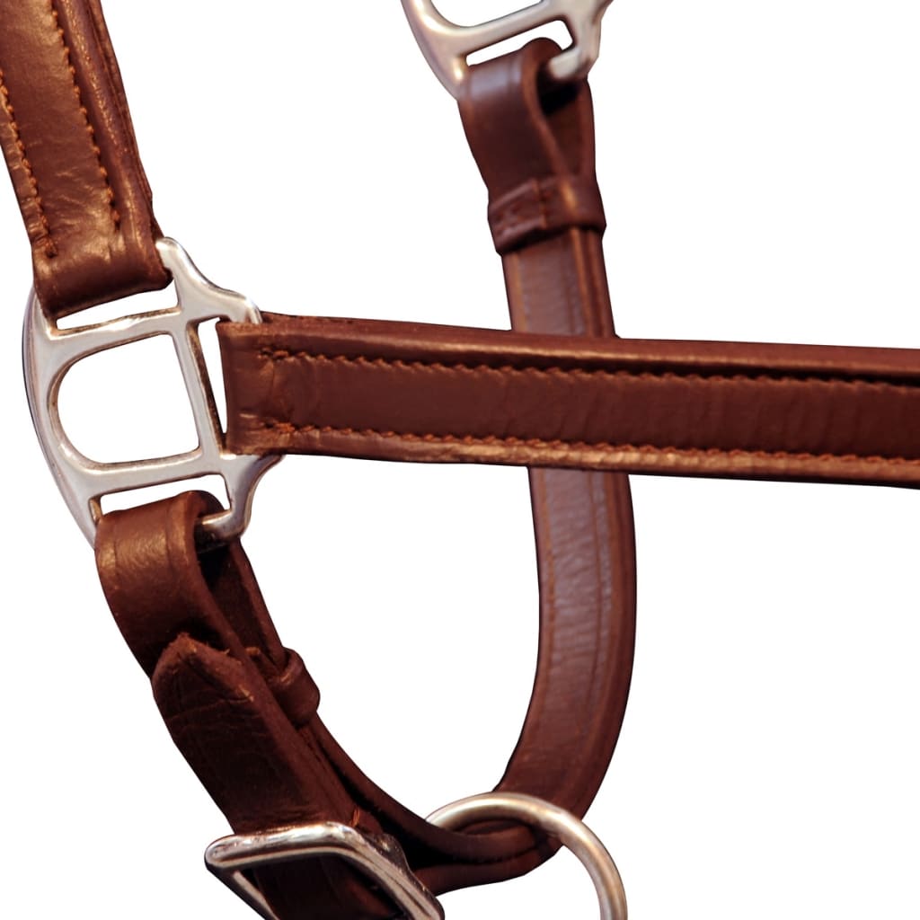 Real leather halter stable halter adjustable brown pony