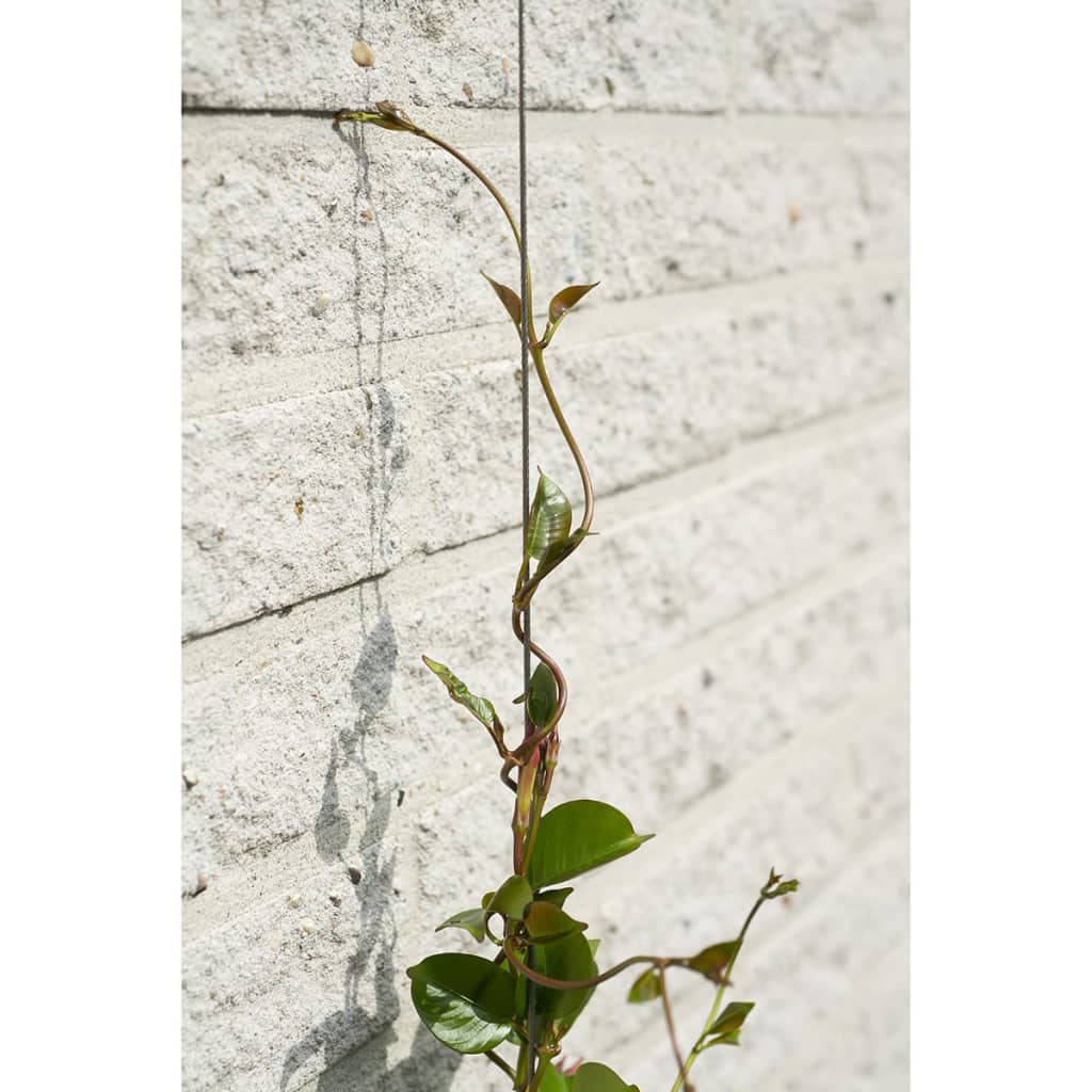 Nature climbing rope sets for climbing plants 2 pieces.