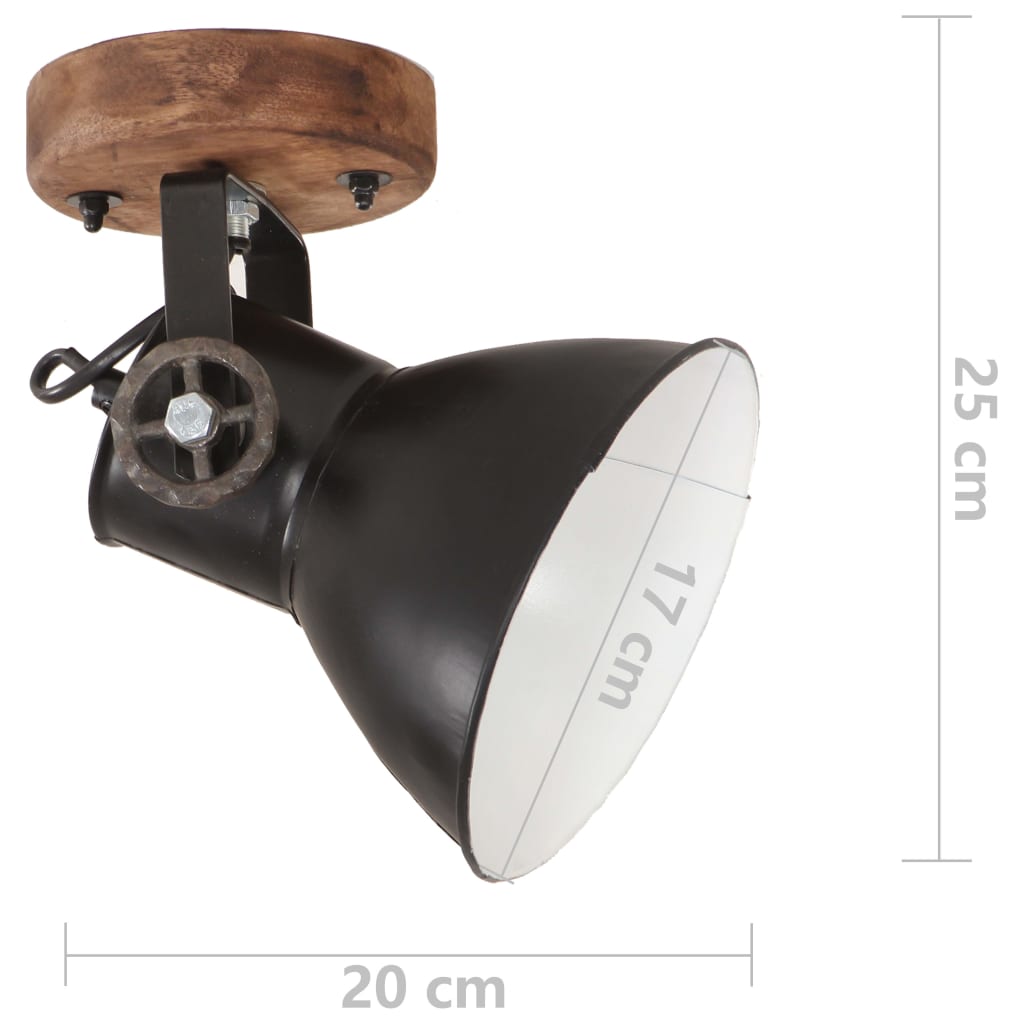Wand-/Deckenlampen Industriestil 2 Stk. Schwarz 20x25 cm E27