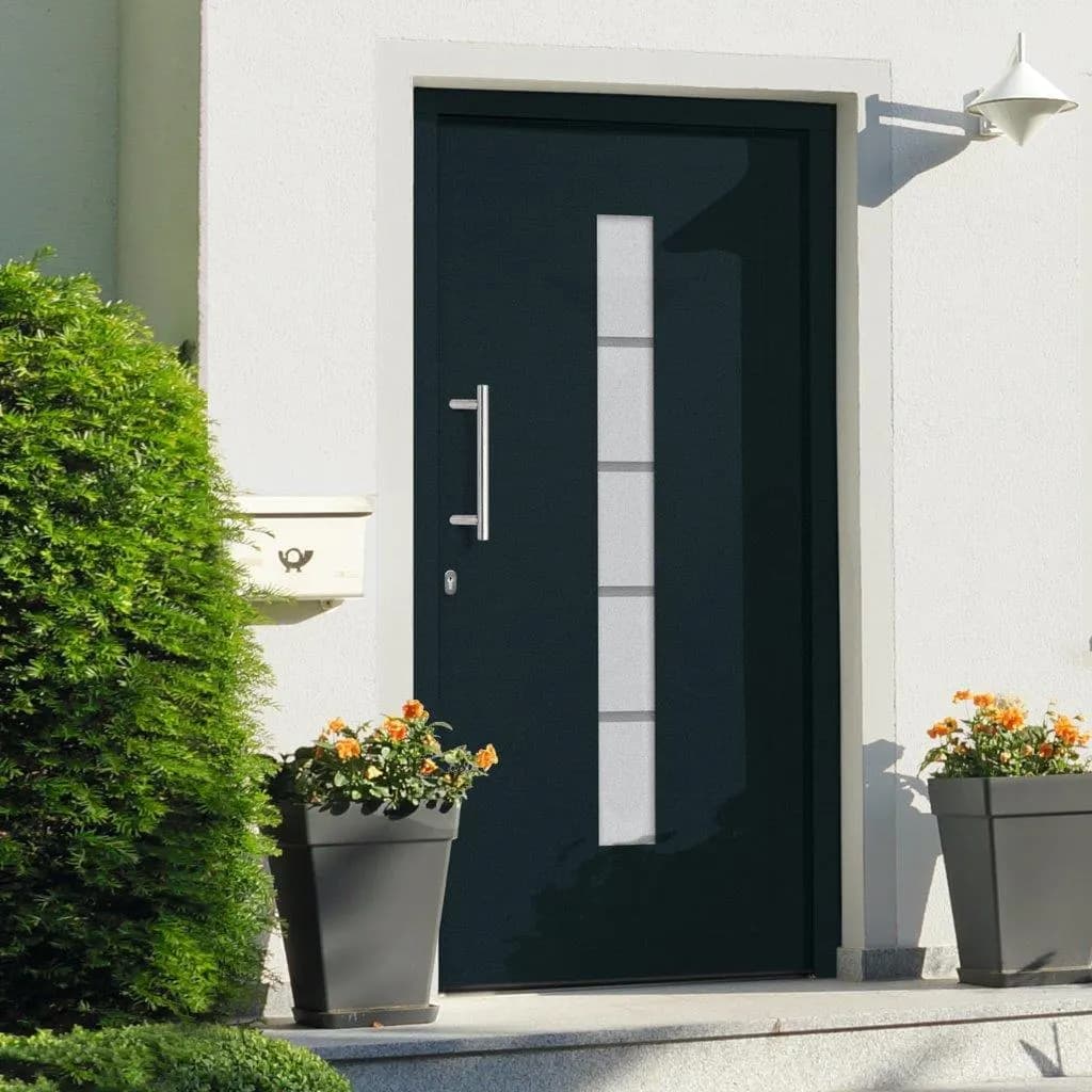 Front door aluminum and PVC anthracite 110x210 cm