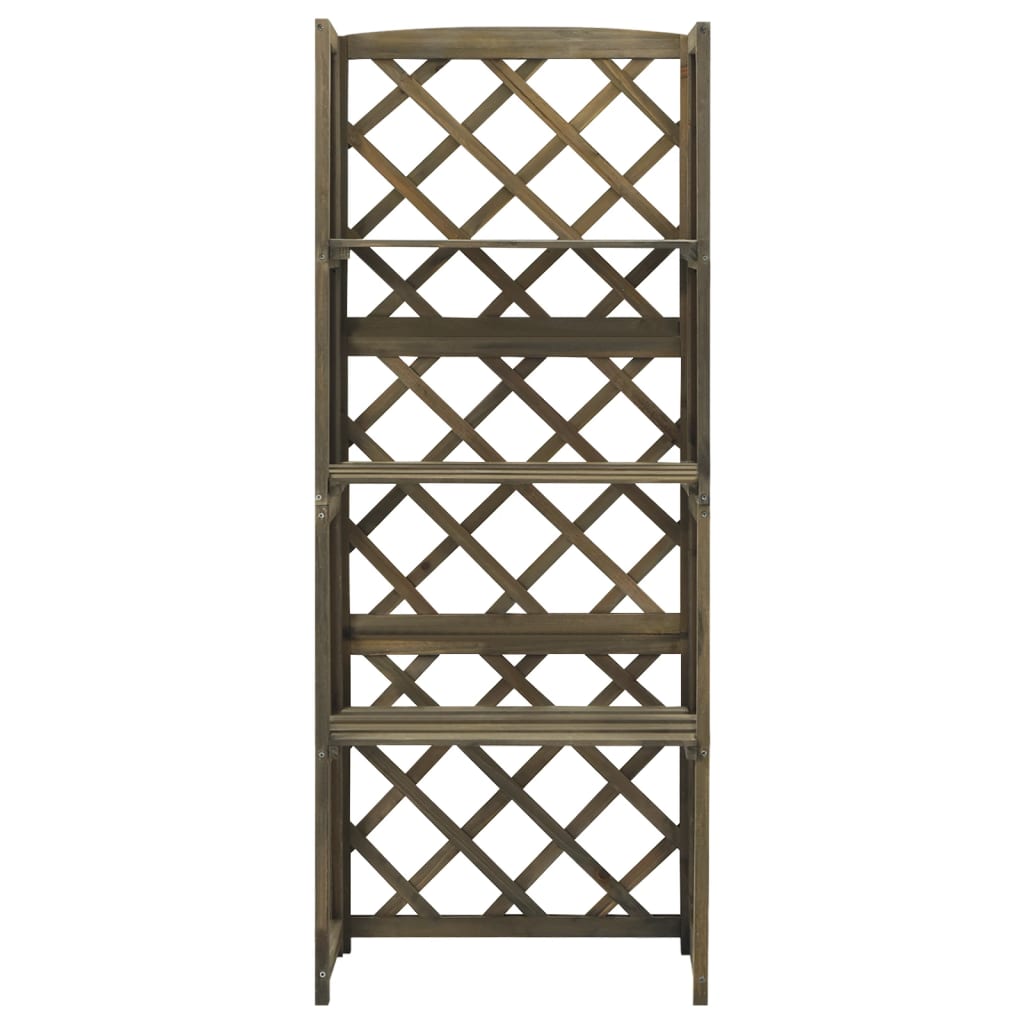 Trellis with shelves gray 55x30x140 cm solid fir wood