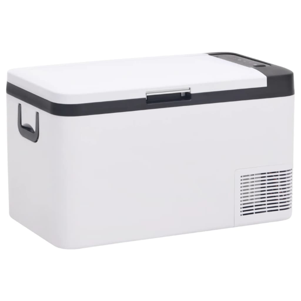 Cool box with carry handle black and white 18L PP &amp; PE
