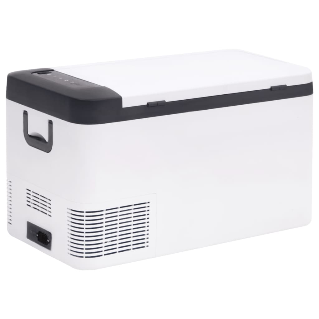 Kühlbox mit Griff und Adapter Schwarz und Weiß 18 L PP & PE