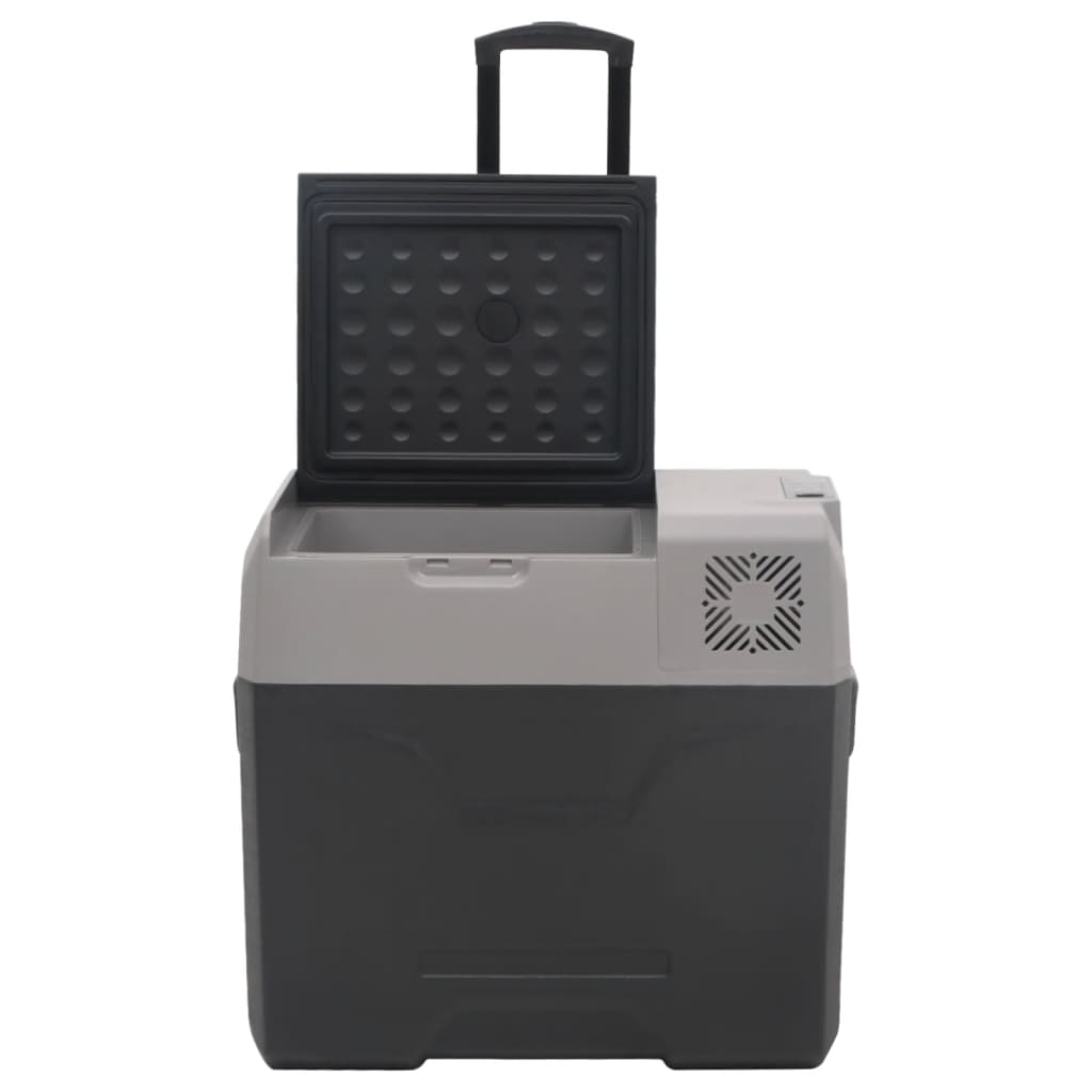 Kühlbox mit Rollen und Adapter Schwarz & Grau 30 L Polypropylen