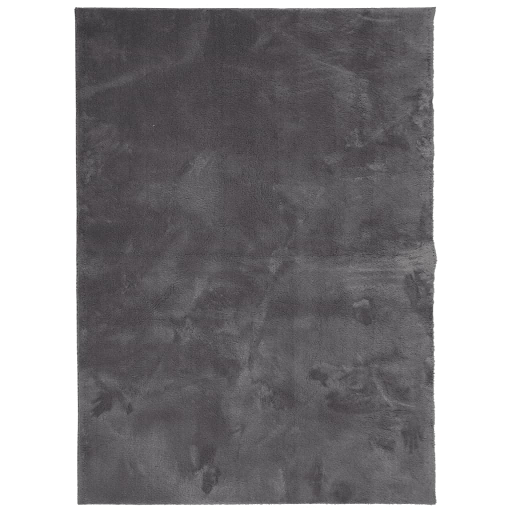 Teppich Kurzflor Weich und Waschbar Anthrazit 120x170 cm